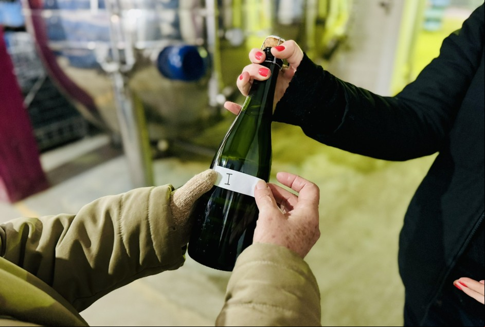 Seleção dos Melhores Vinhos, Espumantes e Sucos de Uva de Garibaldi abre inscrições para sua 23ª edição